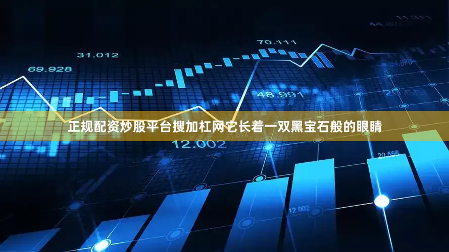 正规配资炒股平台搜加杠网它长着一双黑宝石般的眼睛
