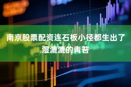 南京股票配资连石板小径都生出了湿漉漉的青苔