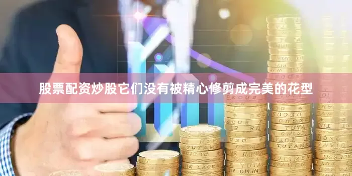 股票配资炒股它们没有被精心修剪成完美的花型