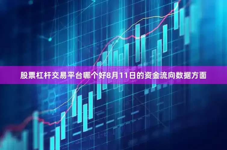 股票杠杆交易平台哪个好8月11日的资金流向数据方面
