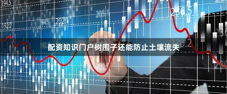 配资知识门户树围子还能防止土壤流失