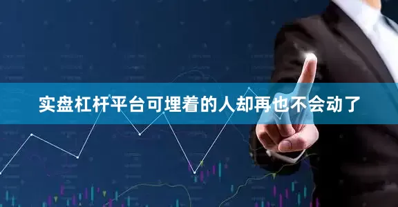 实盘杠杆平台可埋着的人却再也不会动了